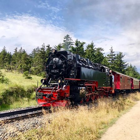 Fewo Fuchsbau Mit Dampfdusche #Kamin#Innenstadtnaehe#Netflix Von Harztraveler Бад-Гарцбург Экстерьер фото