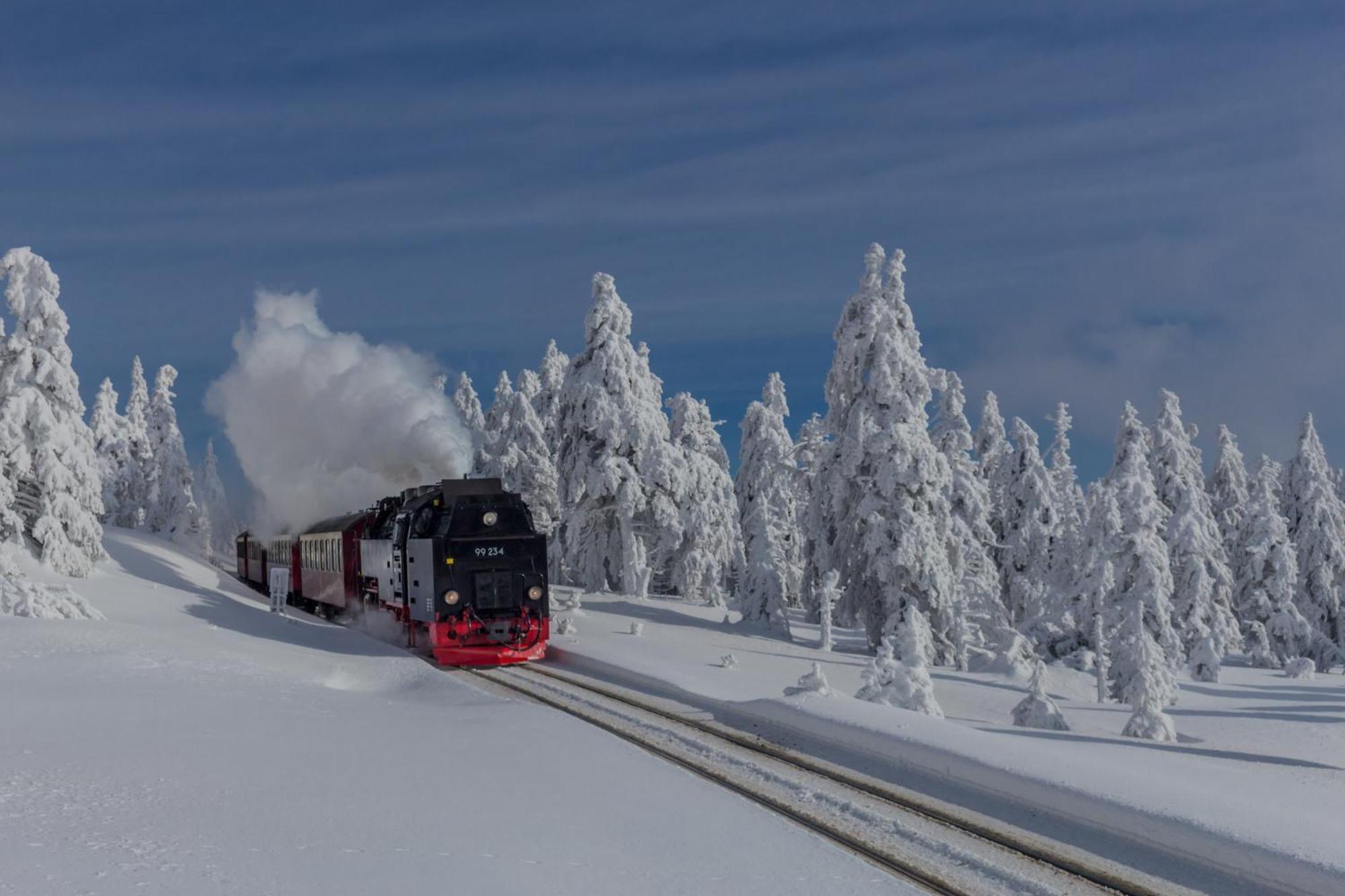 Fewo Fuchsbau Mit Dampfdusche #Kamin#Innenstadtnaehe#Netflix Von Harztraveler Бад-Гарцбург Экстерьер фото
